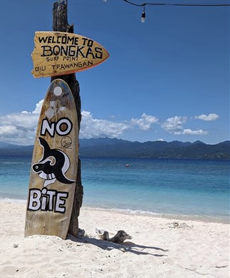 Surfboard på strand på Gili-øerne, Bali Surfboard på strand på Gili-øerne, Bali
