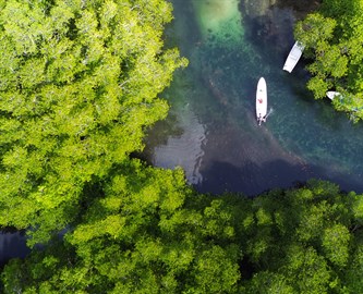 Jungut Batu mangroven på Bali Jungut Batu mangroven på Bali