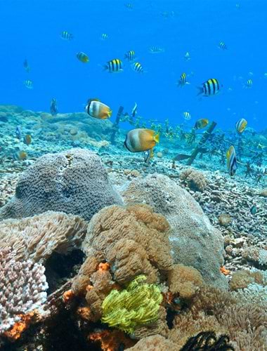Nusa Lembongan