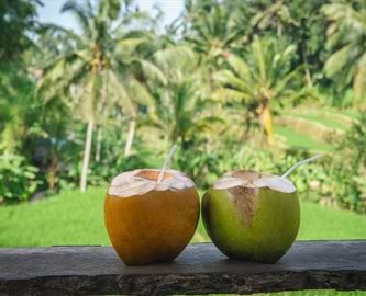 Kokosnødder på stranden ved Sanur på Bali Kokosnødder på stranden ved Sanur på Bali