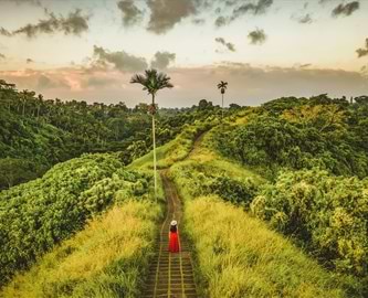 Campuhan Ridge Way ved Ubud på Bali Campuhan Ridge Way ved Ubud på Bali