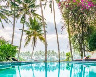 Skøn udsigt til pool og palmer i Ubud på Bali Skøn udsigt til pool og palmer i Ubud på Bali