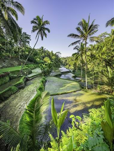 Ubud