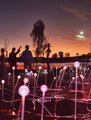 En aften ved Field of Light