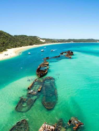 Moreton Island - delfiner, snorkling & tropisk øliv