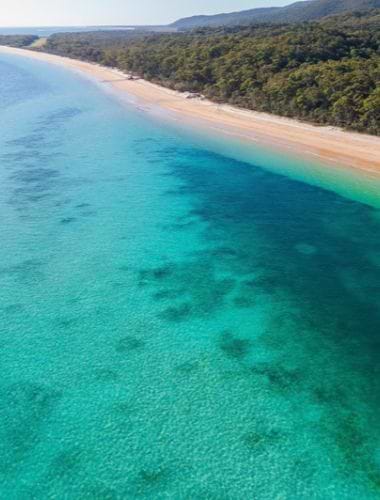 Snorkling ved Tangalooma Wrecks