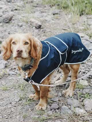 Coats for dogs Coats for dogs