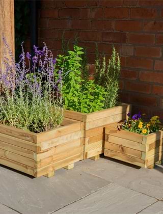 Planting and Growing Planting and Growing