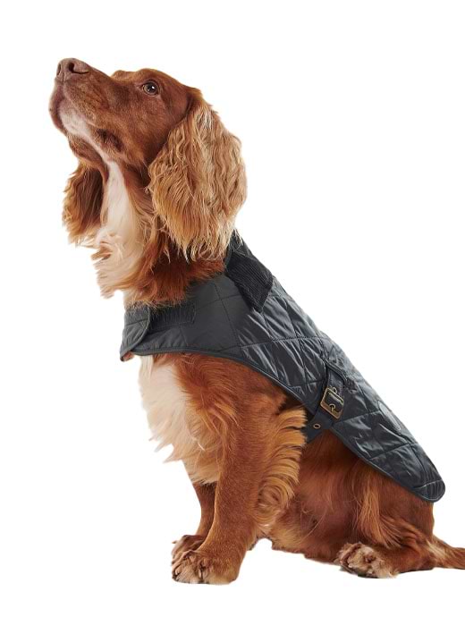 Barbour quilted dog coat black top
