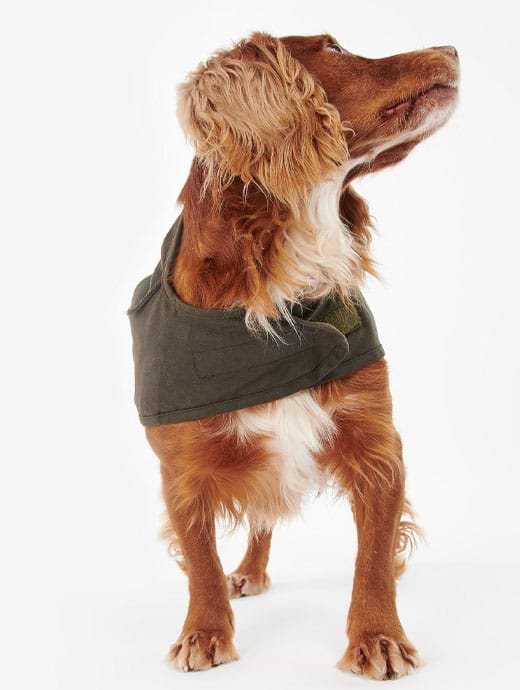 Barbour 2in1 Wax Dog Coat Olive Griggs