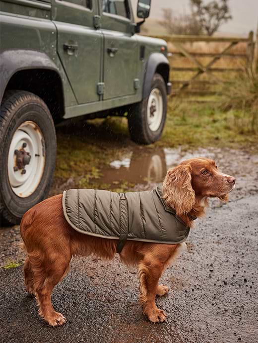 Barbour quilted dog coat black 2025