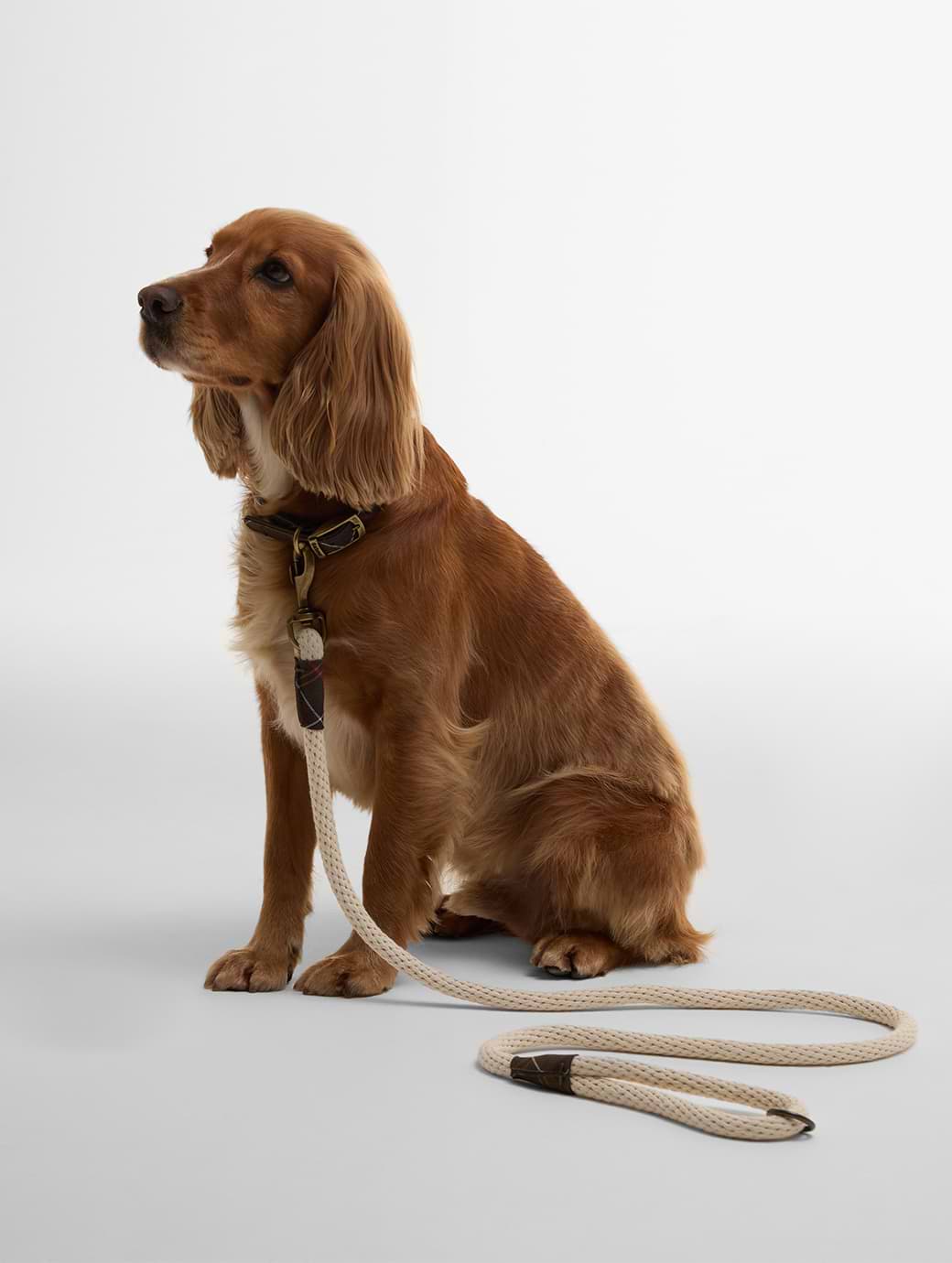 Barbour Cotton Rope Dog Lead Natural/Classic