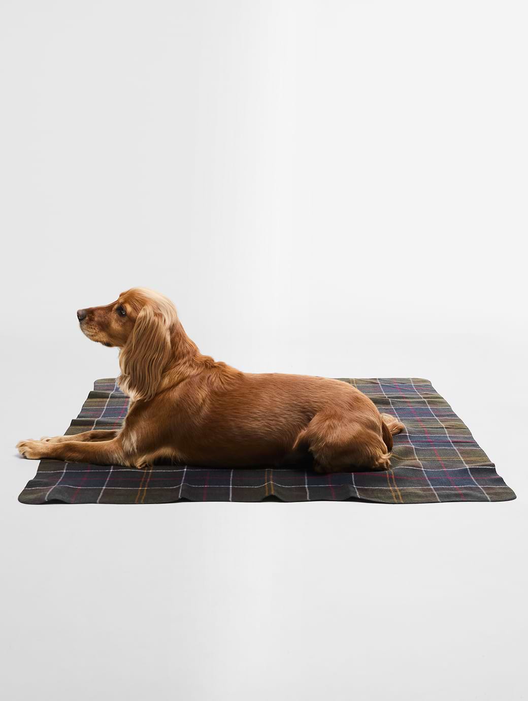 Barbour Dog Blanket Classic Tartan