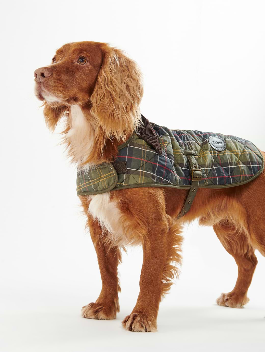 Barbour Dog Coat Classic Tartan