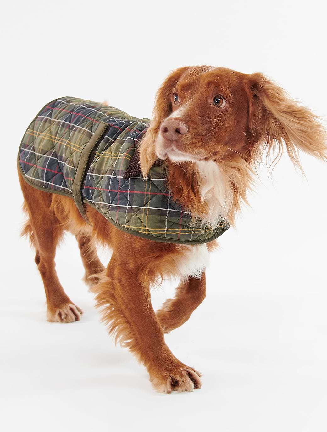 Barbour Spaniel Barbour Dog Coat Classic Tartan
