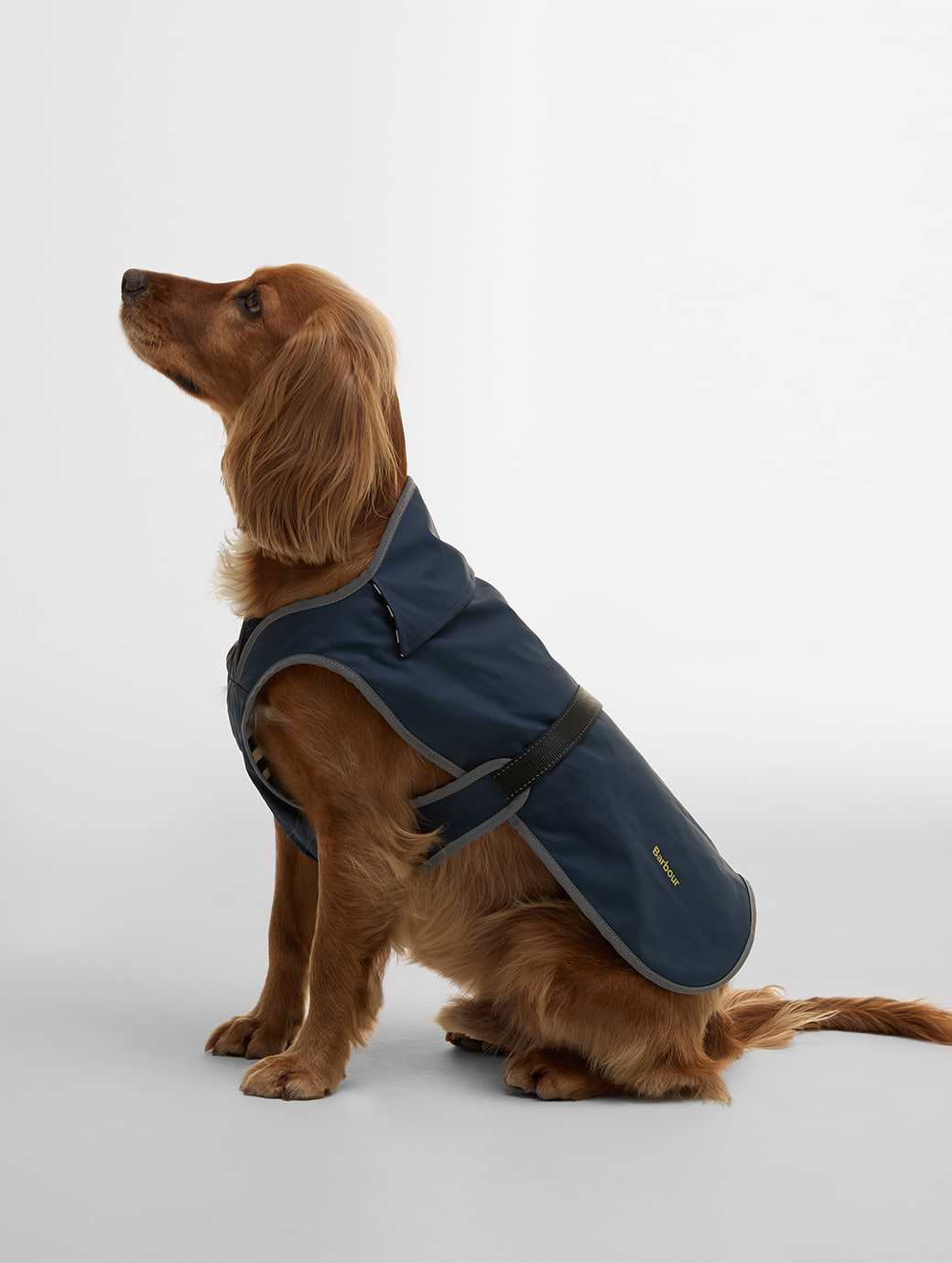 Barbour Evie Waterproof Dog Coat Dark Navy