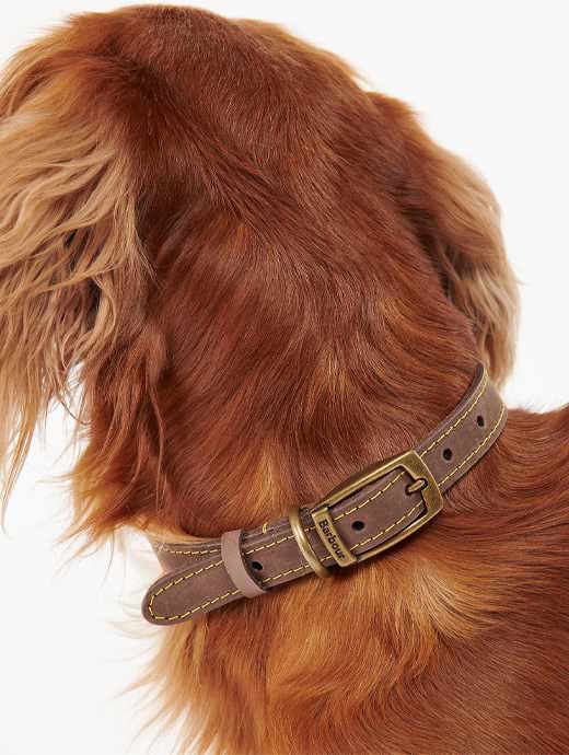 Barbour dog collar discount