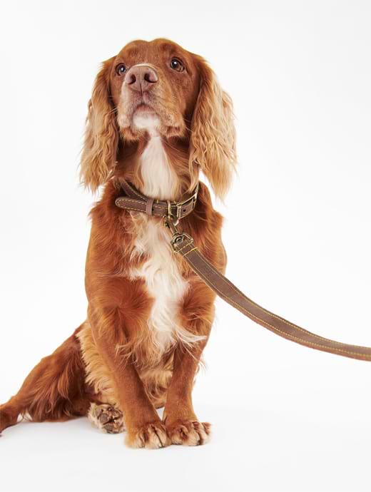 Barbour Leather Dog Lead Brown