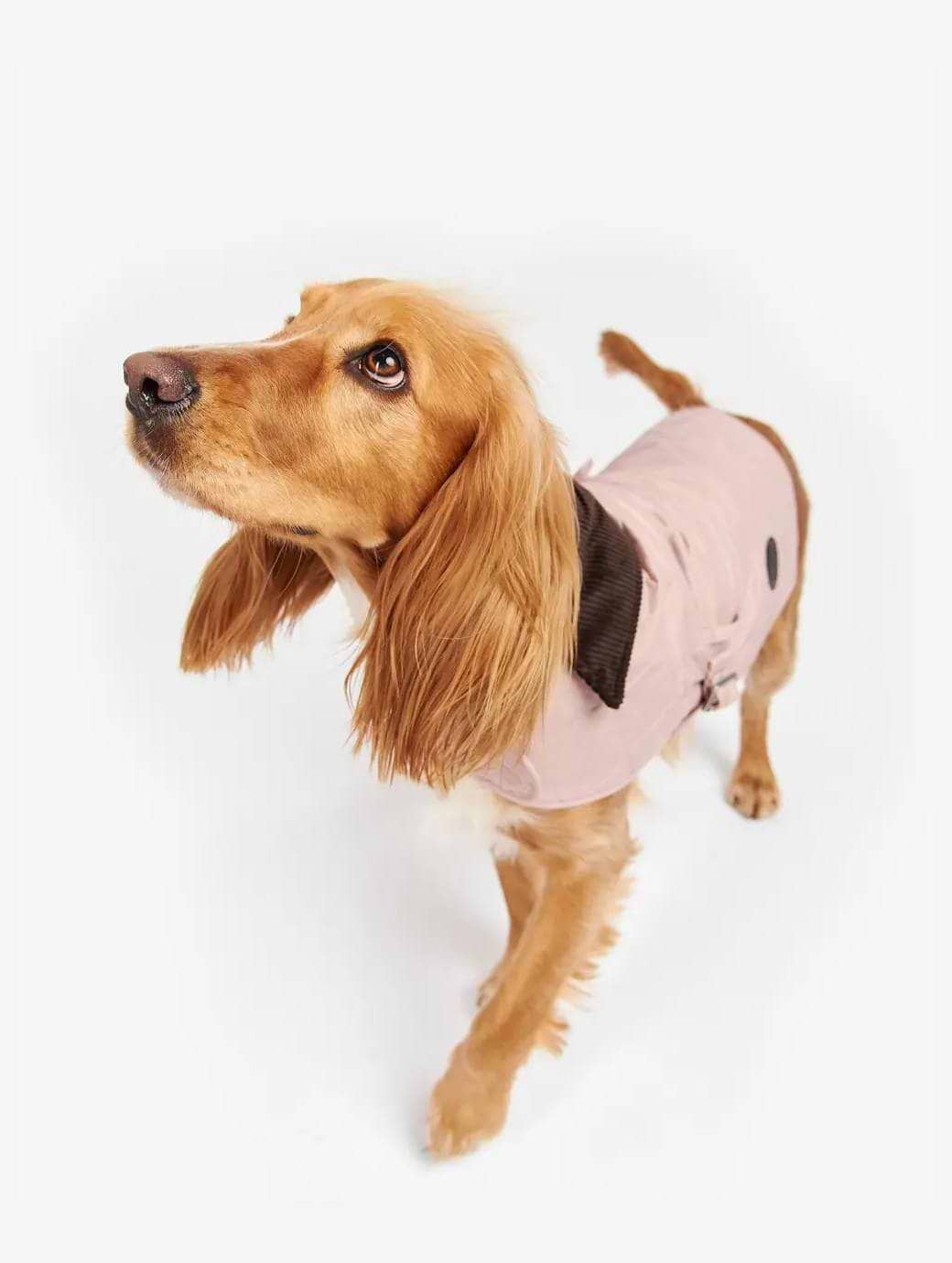 Barbour Quilted Dog Coat Pink