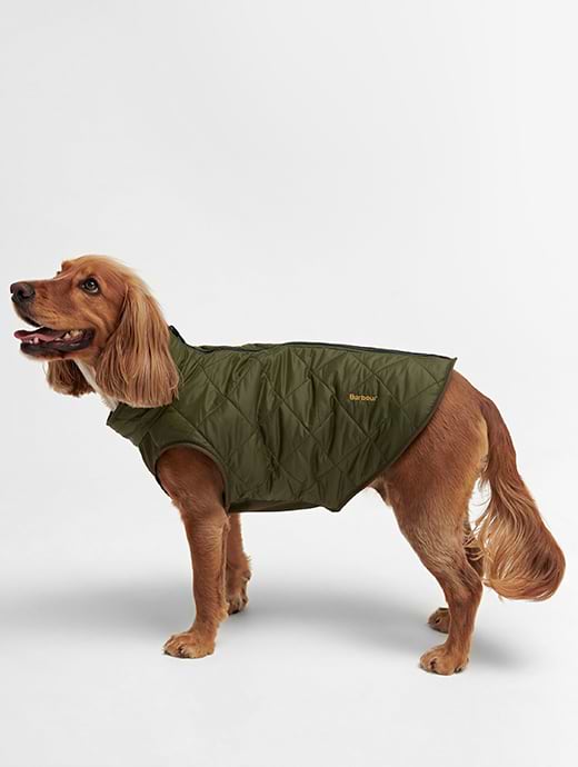 Barbour dog coat uk discount