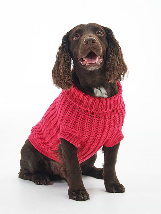 Barbour Saltburn Dog Jumper Pink Dahlia