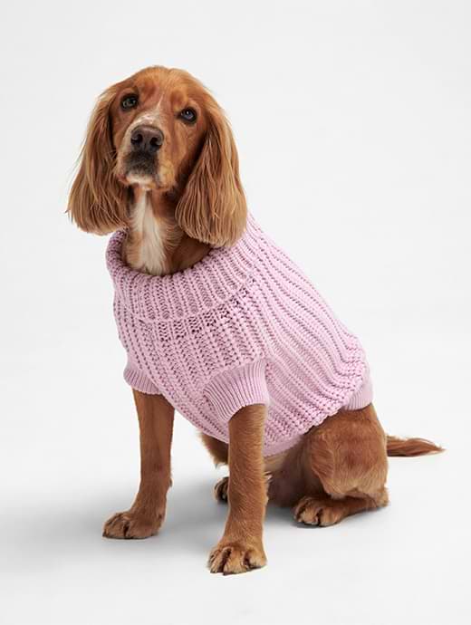 Barbour Salturn Dog Jumper Lavender Haze