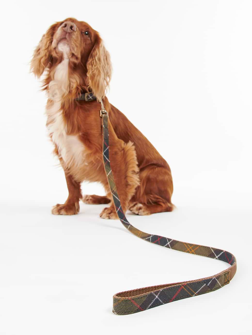 Barbour Tartan Webbing Dog Lead Classic Tartan