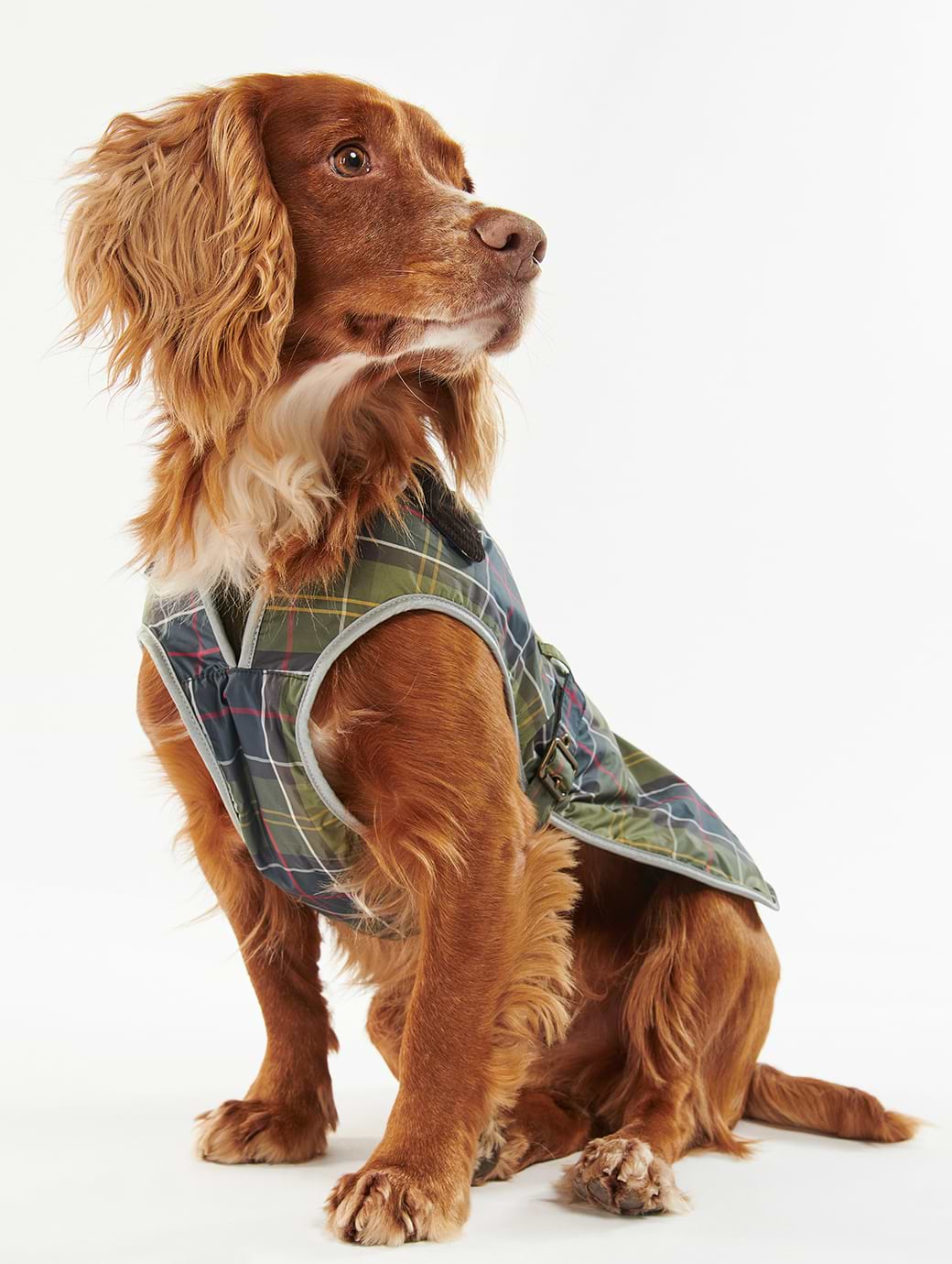 Barbour Waterproof Dog Coat Classic Tartan