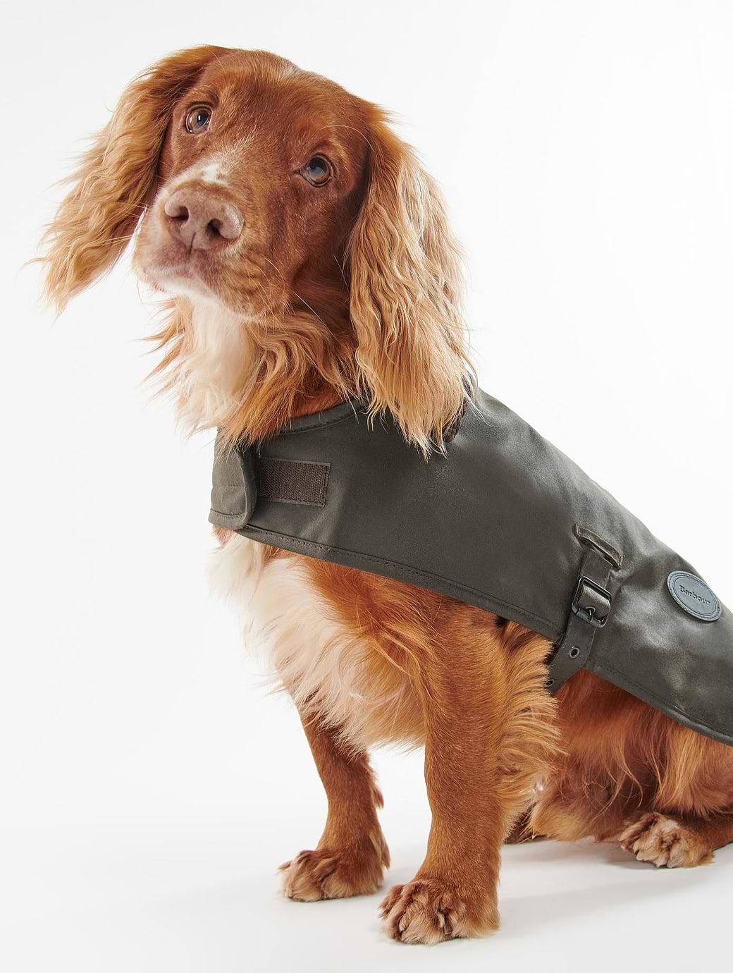 Barbour Wax Dog Coat Olive