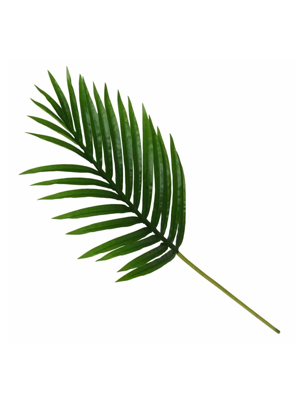 Candlelight Mini Palm Leaf 75cm Multi One Size
