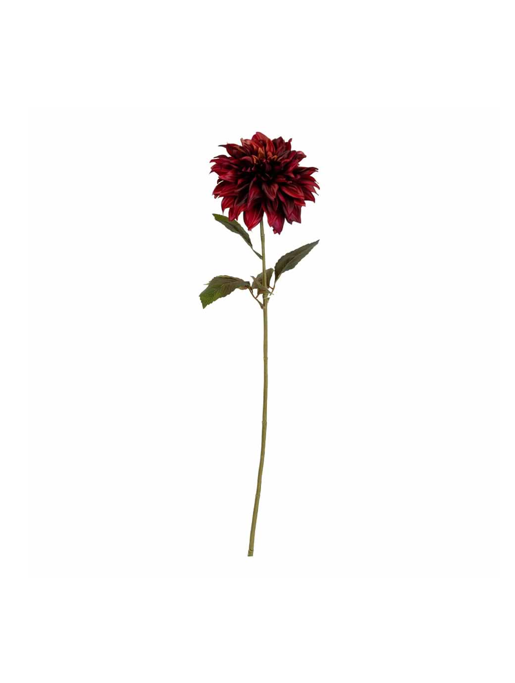 Candlelight Single Dahlia Stem 74cm Burgundy