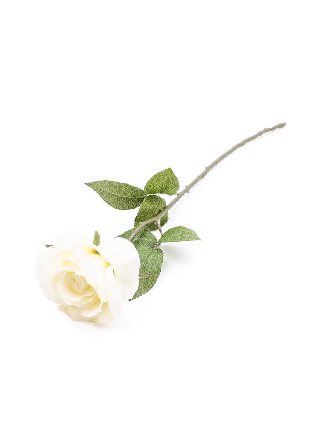 Candlelight Single Stem Open Rose 54cm Multi