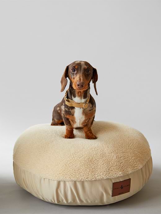 Chalk Biffy Round Dog Bed Bone Sherpa