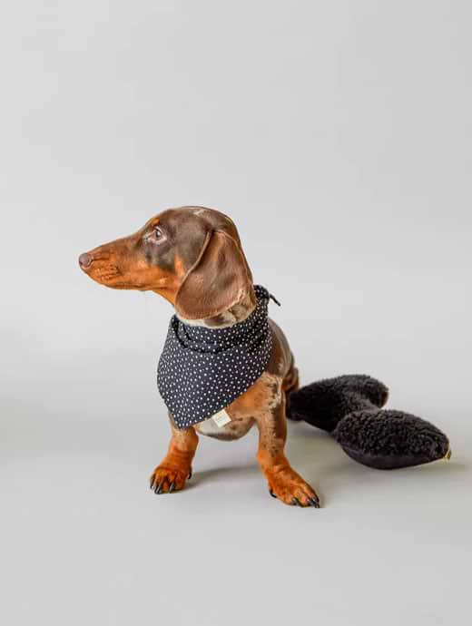 Chalk Dog Bone Black Sherpa