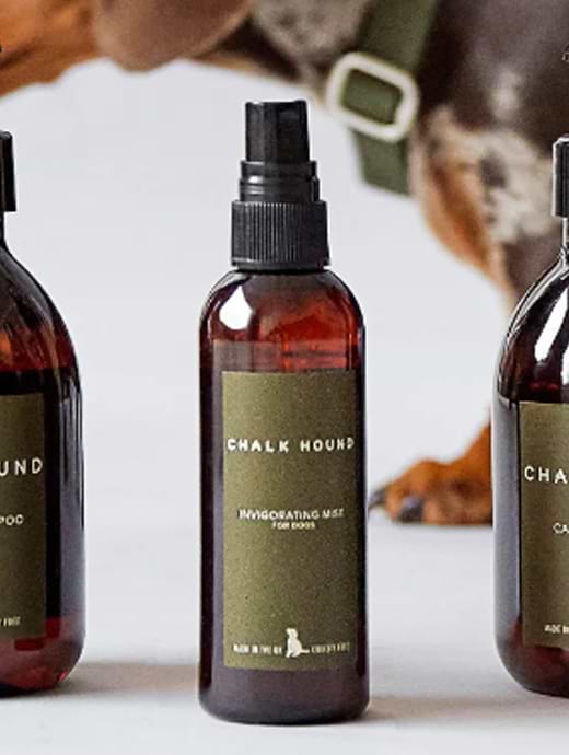 Chalk Dog Invigorating Mist 