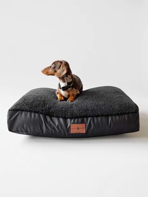 Chalk Nugget Medium Dog Bed Black