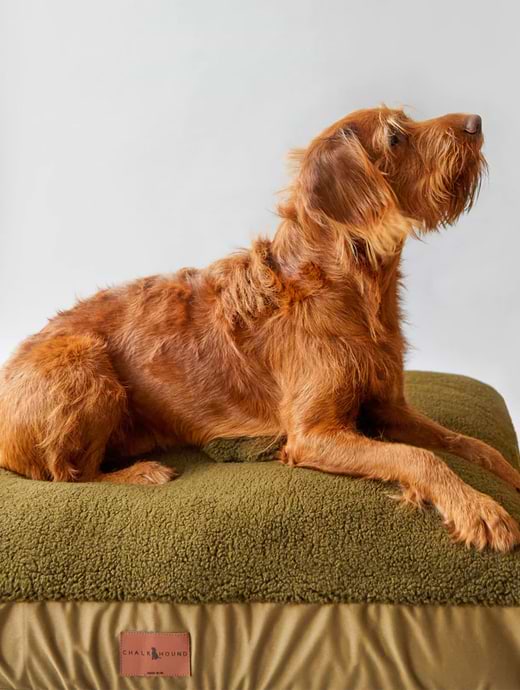 Chalk Ziggy Large Dog Bed Khaki