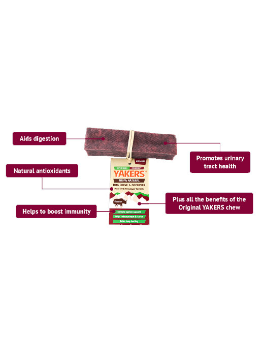 Yakers Dog Chew Superfoods Cranberry Medium