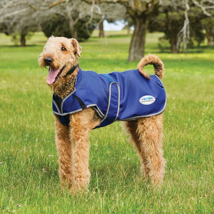 Weatherbeeta Comfitec Duo Dog Coat Dark Blue / Grey / White