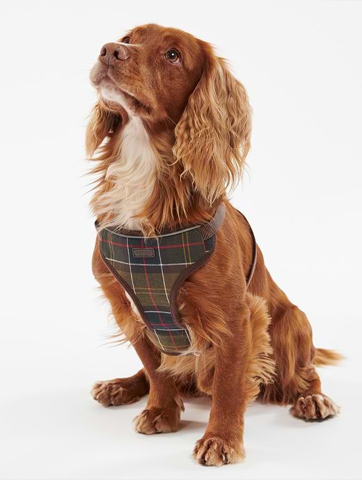 Barbour Travel & Exercise Harness