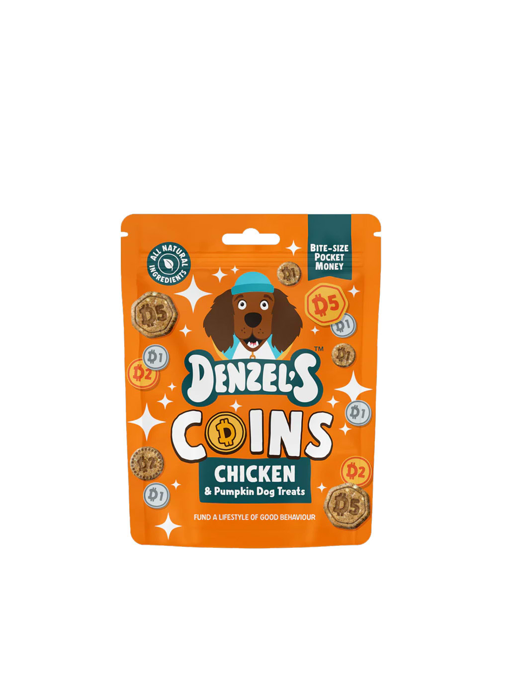 Denzel’s Coins - Chicken & Pumpkin Dog Treats
