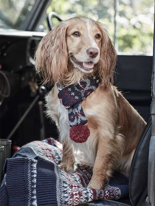 Barbour dog scarf outlet