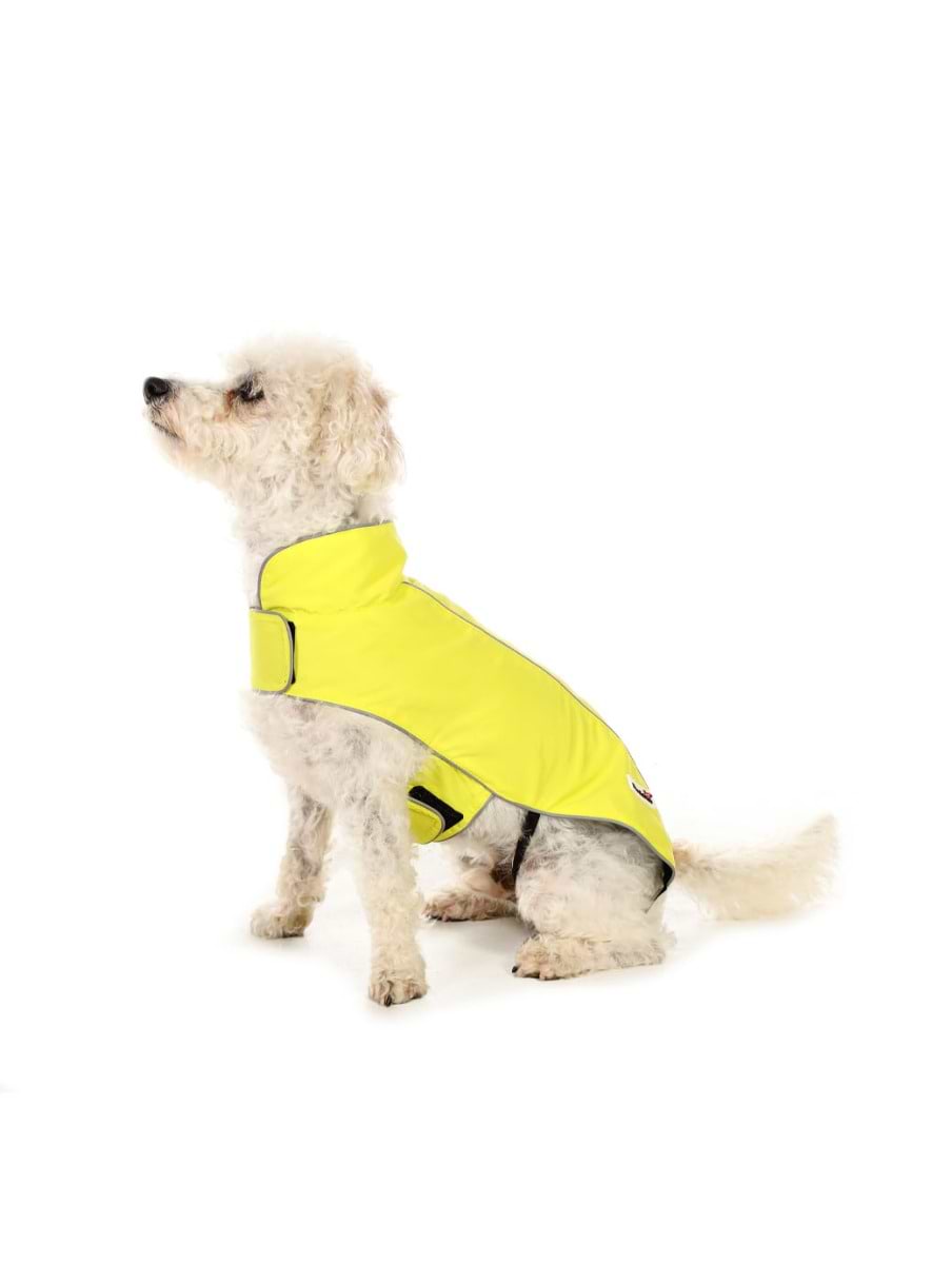 Doodlebone Rain Mac Citrus