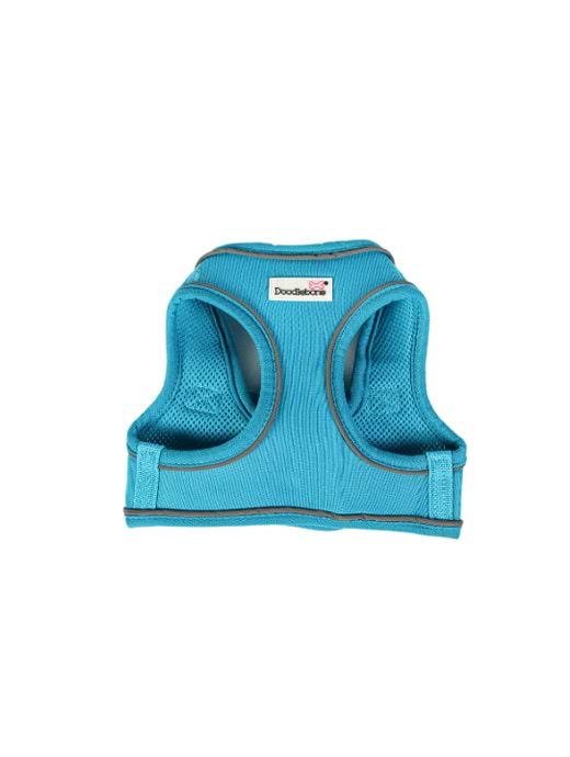 Doodlebone Harness Aqua