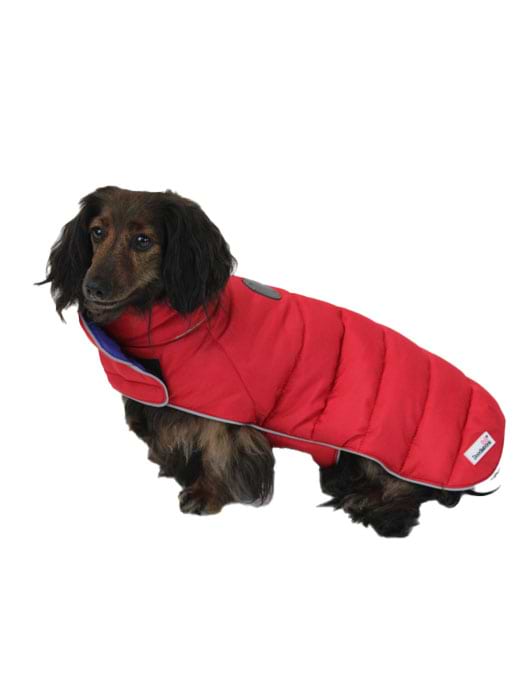 Doodlebone Puffer Coat Ruby/Cobalt