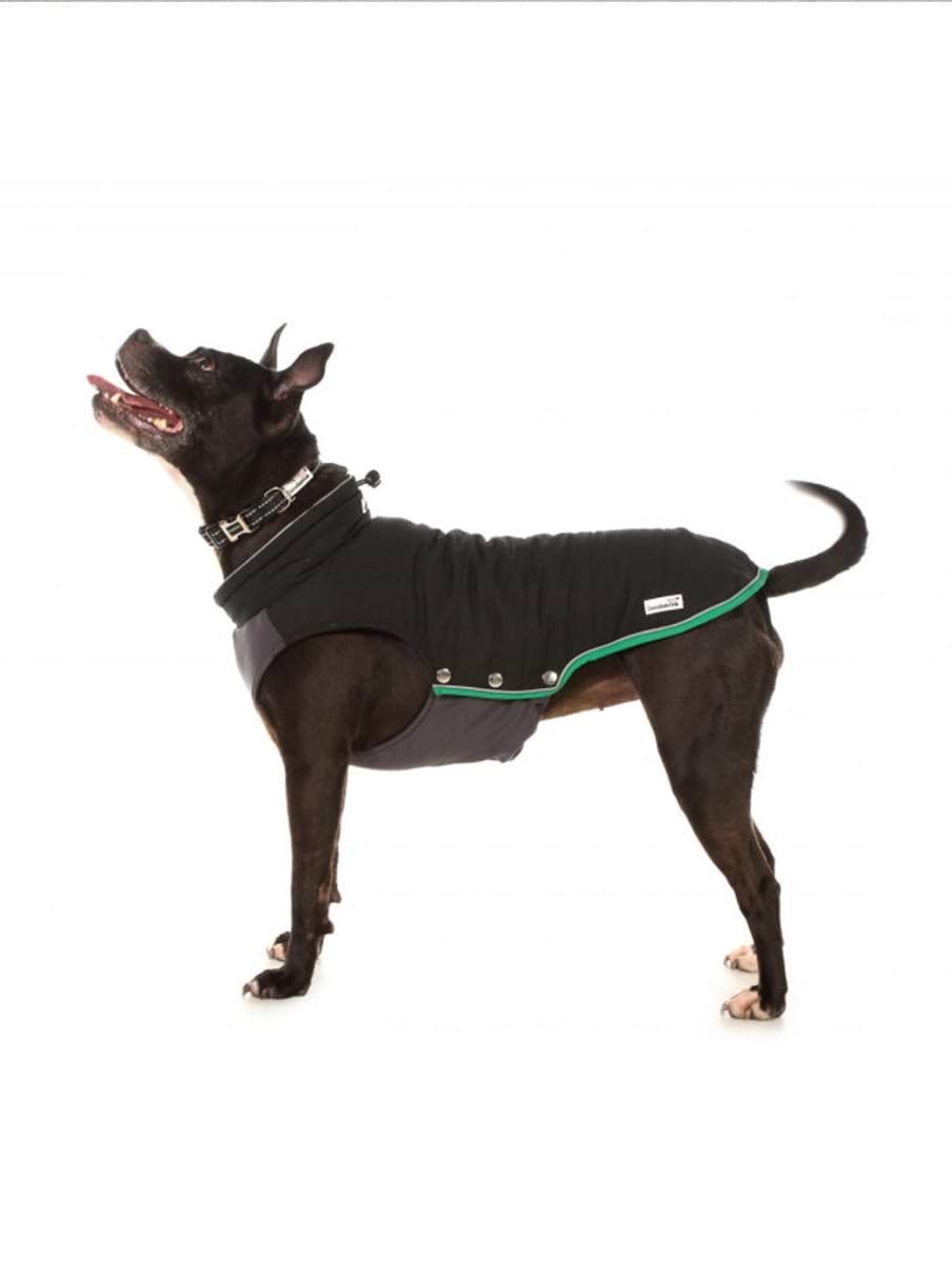 Doodlebone Puffer Jacket Coal
