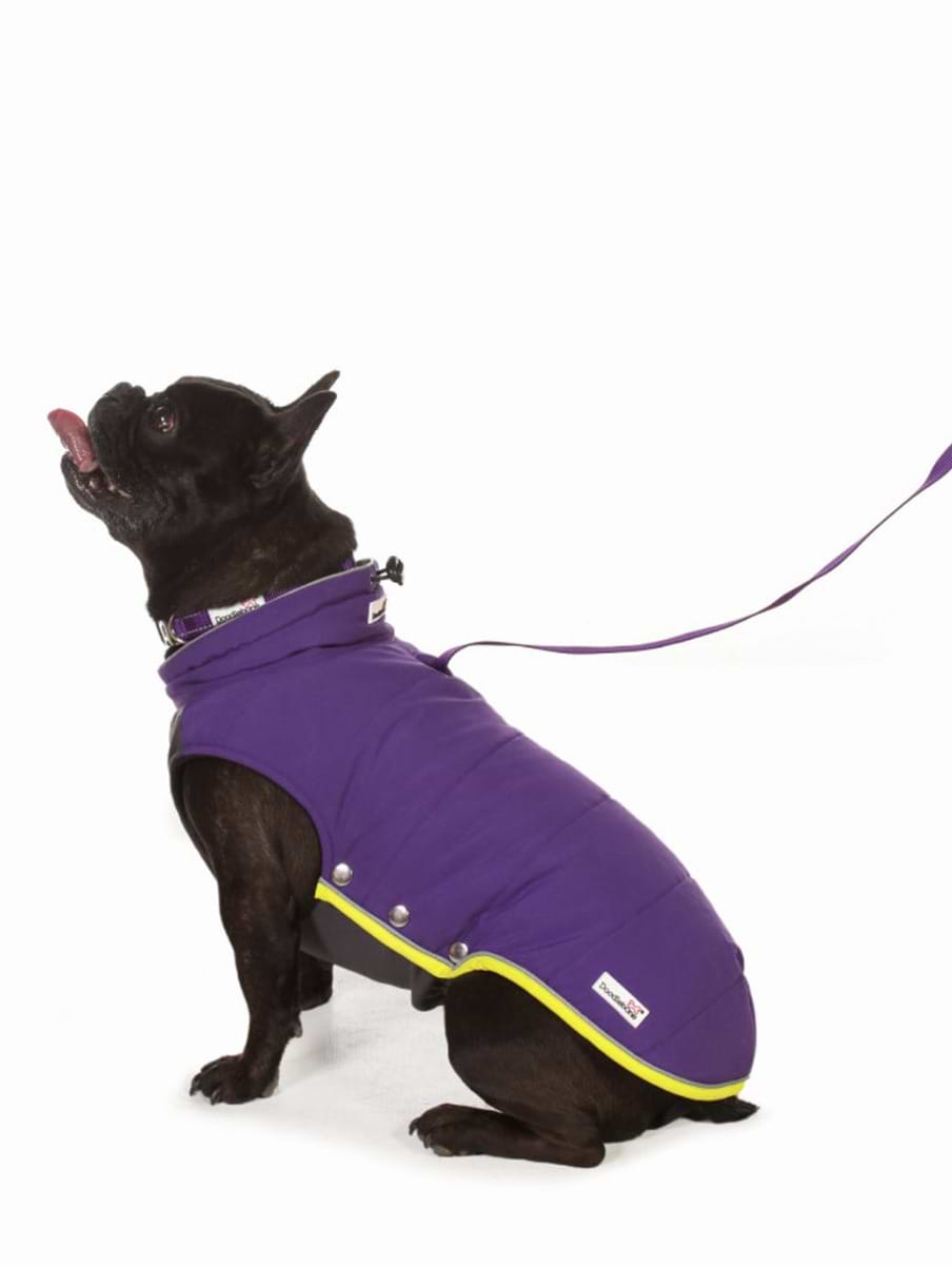 Doodlebone Puffer Jacket Violet