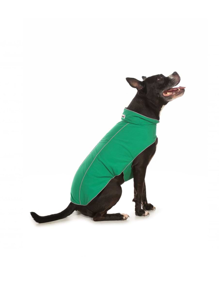 Doodlebone Rain Mac Forest