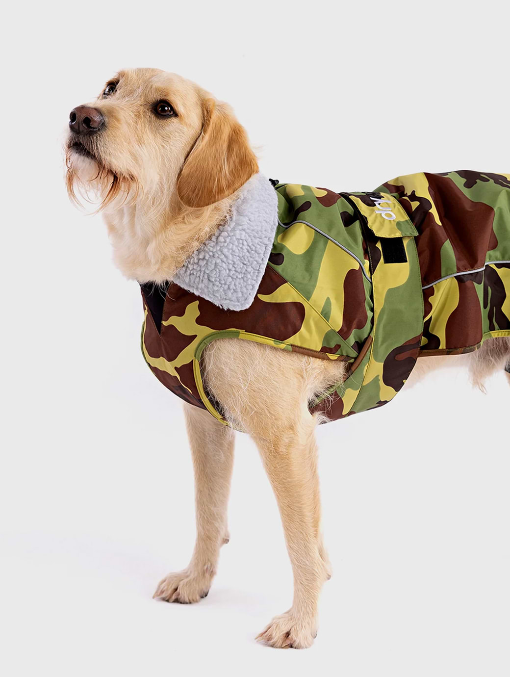 Dickies dog coat new arrivals