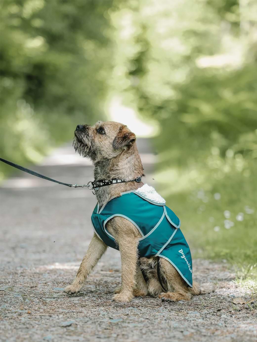 Berghaus dog coat sale